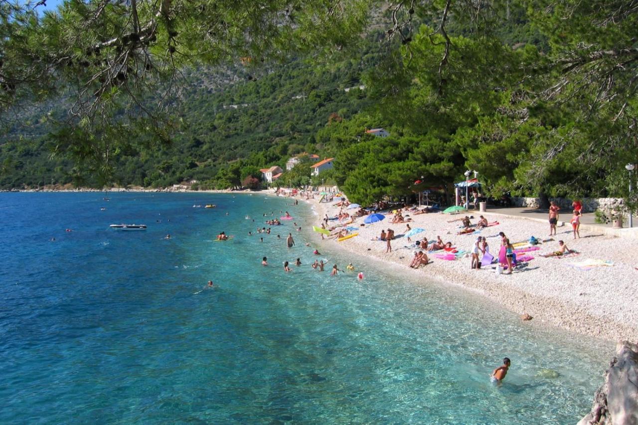 Apartments By The Sea Zivogosce - Porat, Makarska - 20207 イグラネ エクステリア 写真